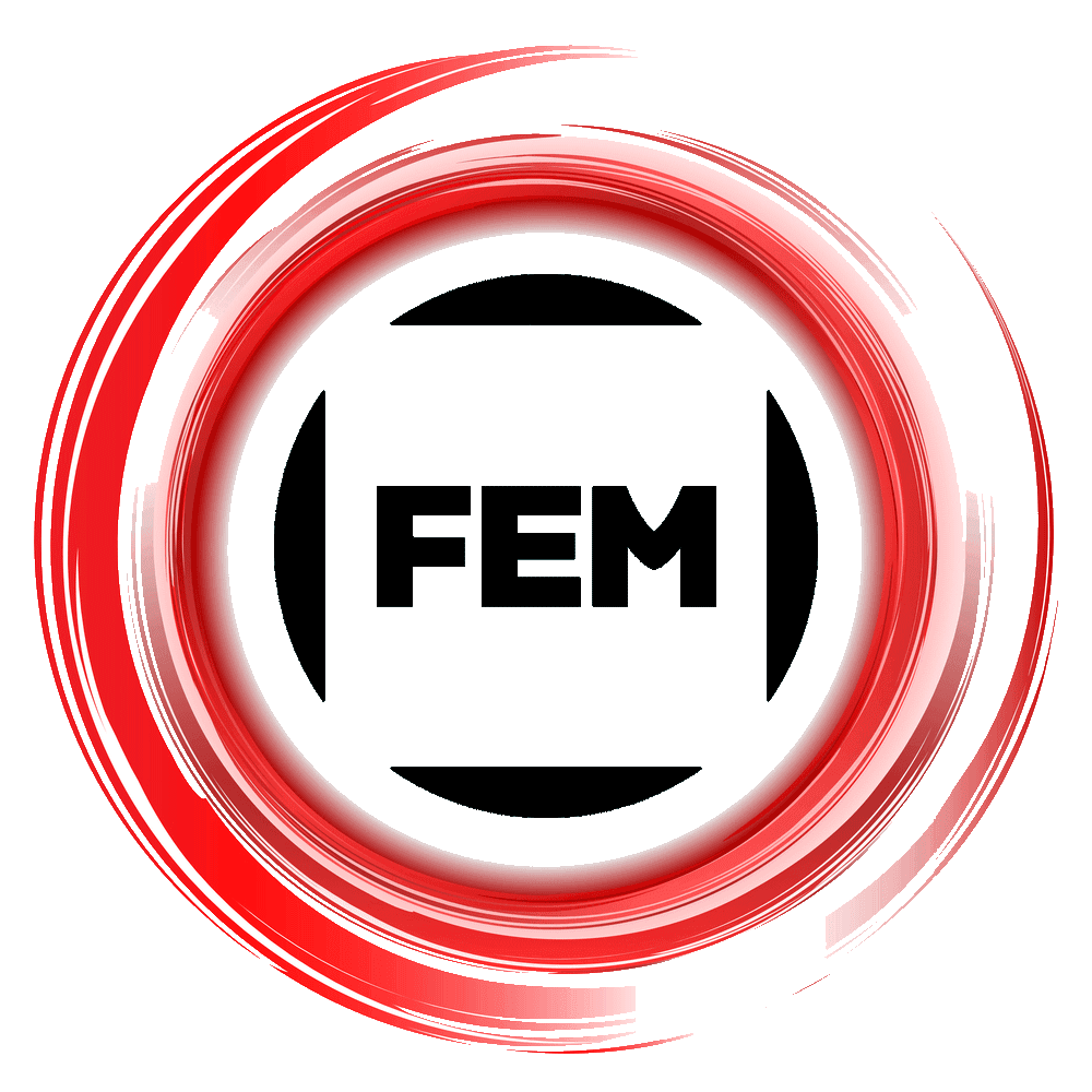 11-FEM.png